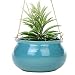 Mediterranean Style Round Cerulean Succulent Hanging Planter Pot with Twisted Jute Twine Rope