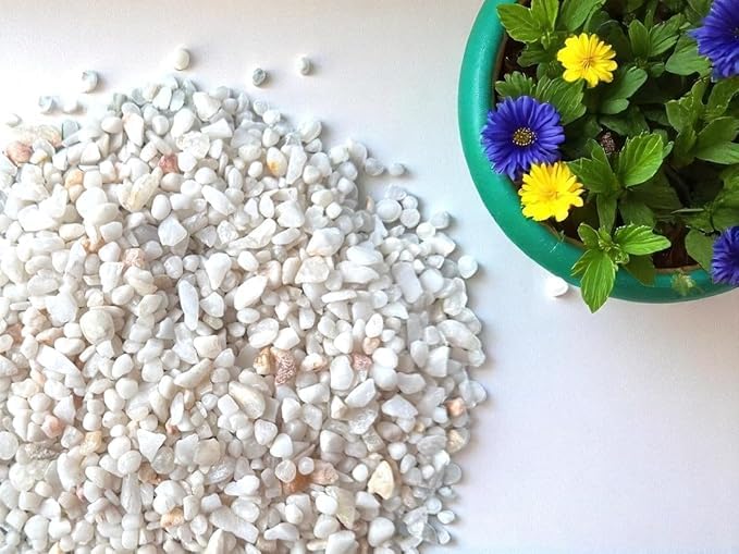 Image of BKD White Pebble Decorative Stones Marble Chips [3 Kg] for Aquarium Garden Indoor & Outdoor Decoration Pebble Stone White