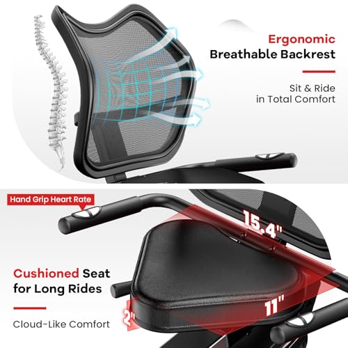 Recumbent Bike with High Back Support
