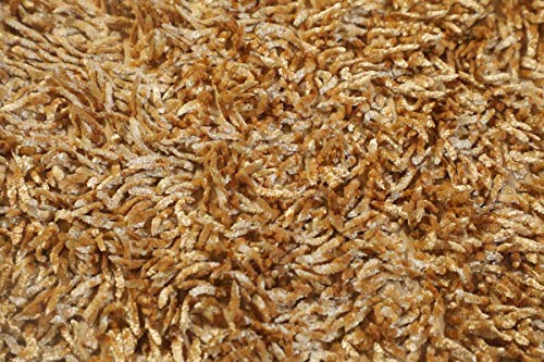Image of CASA-NEST Premium Anti Skid Bath Mat,Super Soft Doormat,Shaggy Microfiber,Washable,Size=16x24 inch,Color-Gold
