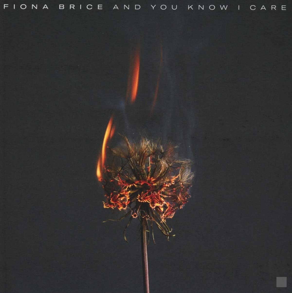 Fiona Brice: And You Know I Care