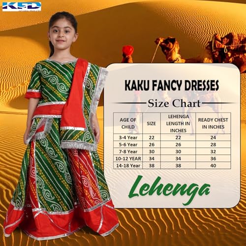 Image of Kaku Fancy Dresses Kids Ethnic Garba Lehenga Choli with Dupatta | Traditional Indian Navratri Dress for Girls | Festive Ghagra Choli Outfit for Dandiya & Garba Nights