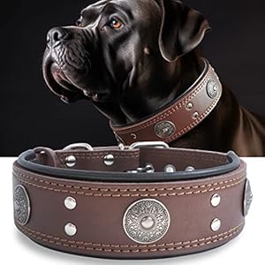 Leather Dog Collar, 5 cm Wide Robust Genuine Leather Collar, Handmade, Soft and Luxurious, Eye-catching Best Choice for Large and Medium Dog Breeds 42-52 cm