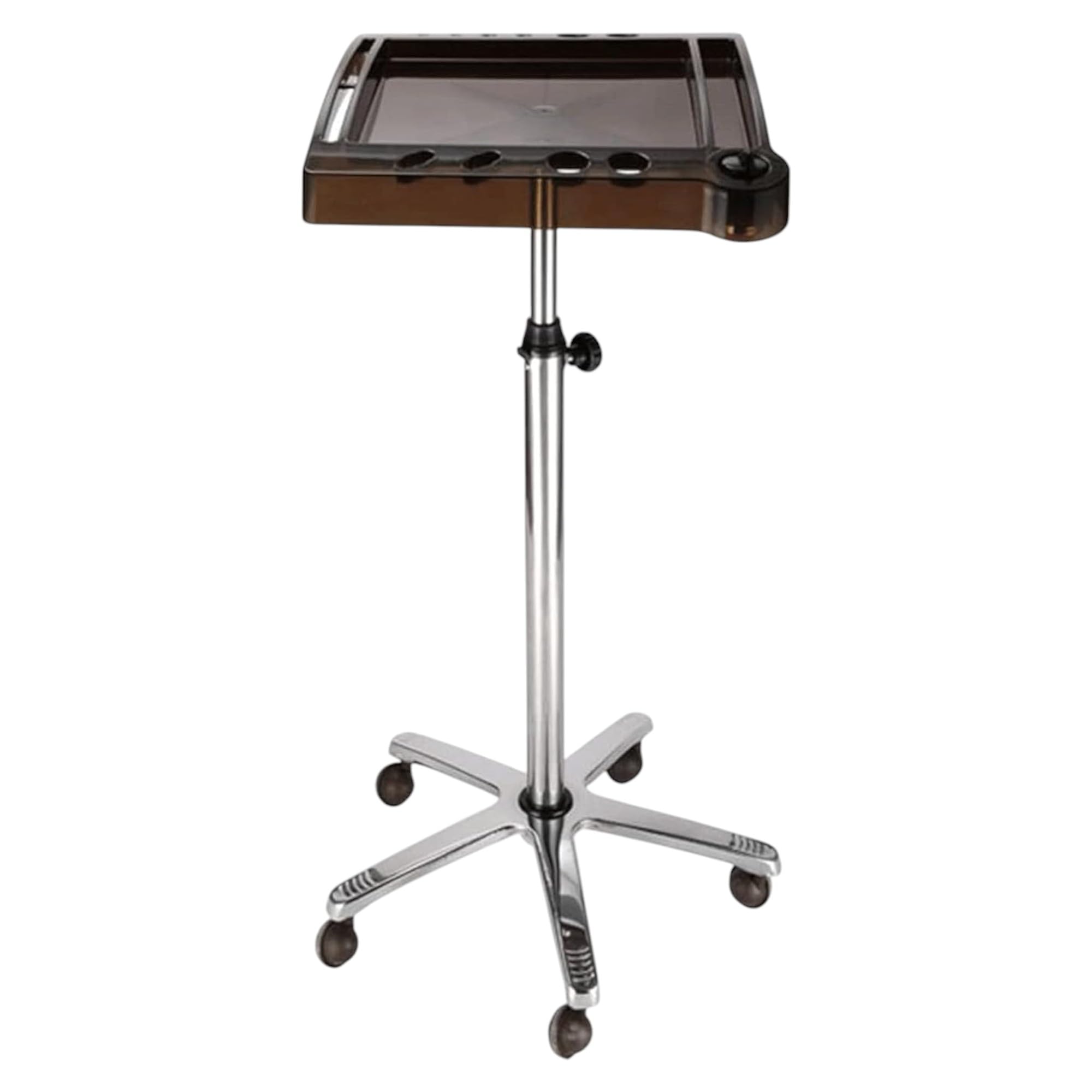 Eson Beauty Trolley on Wheels with Tray, Hairdressing Colouring Trolley, Salon Organizer, Professional Use for Beauty Salon SPA Hairdresser Tattoo Service Station (Tint Trolley)