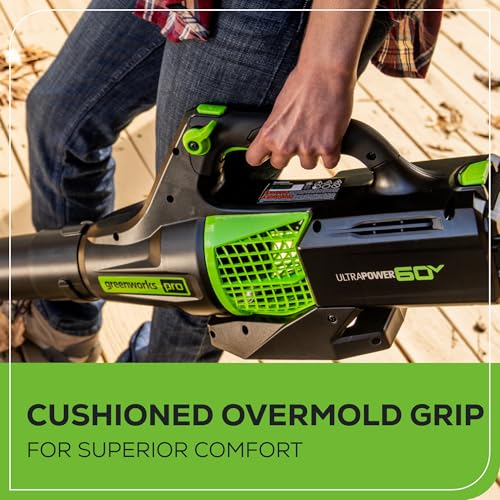 Image of Greenworks 60V (450 CFM / 140 MPH) Cordless Leaf Blower (Turbo Button, Variable Speed Trigger, 2.0Ah Battery, Rapid Charger + Bonus 4.0Ah Battery