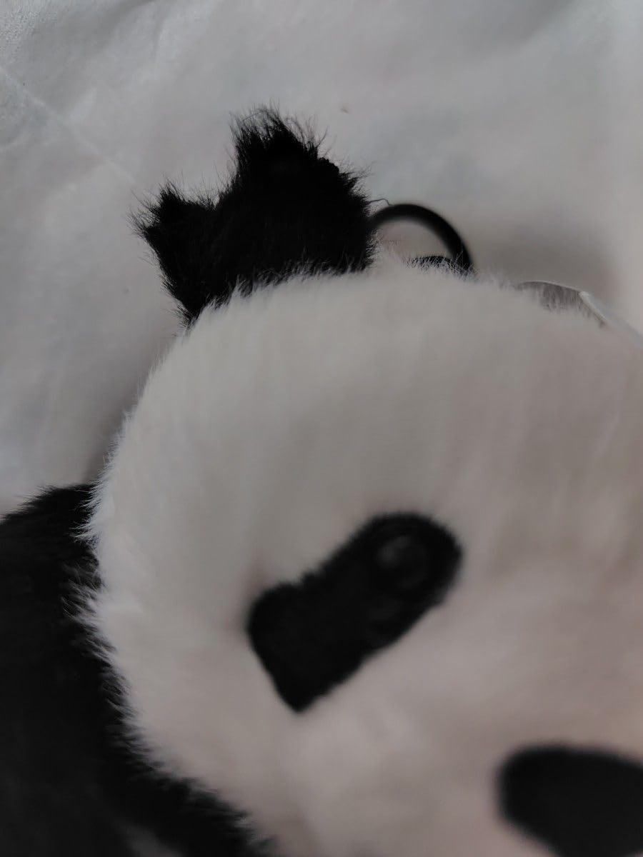 Amazon.co.jp: ぬいぐるみ パンダの阿宝 : おもちゃ