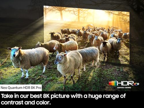 Samsung 75 inch QN900C 8K TV