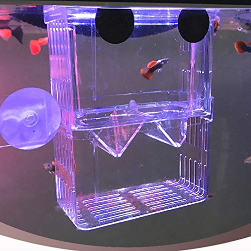 FGXY Aquariumvissen Fokdoos, Aquarium Fokken Isolatie Box, Multifunctionele Fokken Incubator Doos, Fokkerij Incubator… - Afbeelding 6