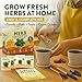 HOME GROWN Herb Garden Planter Indoor Kit – Unique Christmas Gift for Adults, Men, & Women - Grow 4 Heirloom Herb Seeds on Kitchen Window – Beginner DIY Craft & Hobby Gardening Gift for Plant Lovers