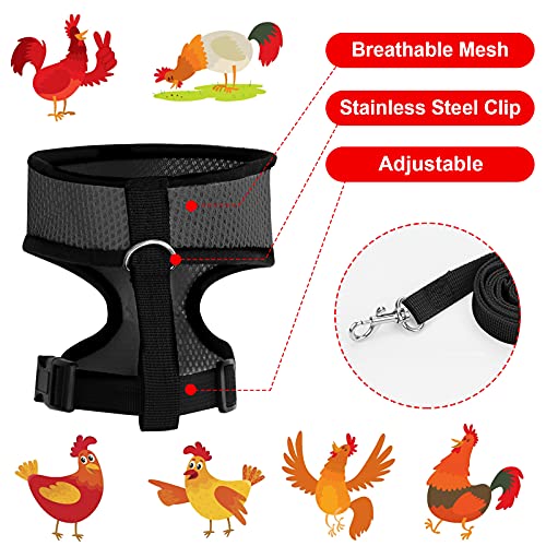 Molain Verstellbares Hühnergeschirr mit Leine, Bequeme Hühnerweste atmungsaktives Hühner Trainingsgeschirr Mesh Haustiergeschirr für 2–11 lb (1–5 kg) Ente Gans Henne Traning Medium (schwarz)