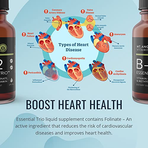 Mt. Angel Vitamins - B12 Essential Trio - Vegan Sublingual Drops with High-Potency Methyl B12, B6 & Folate - Easy Absorption Liquid - Non-GMO, Made in USA - Image 7