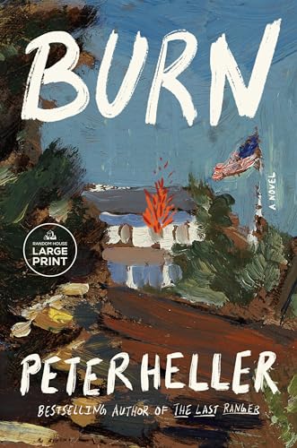 Burn: A novel