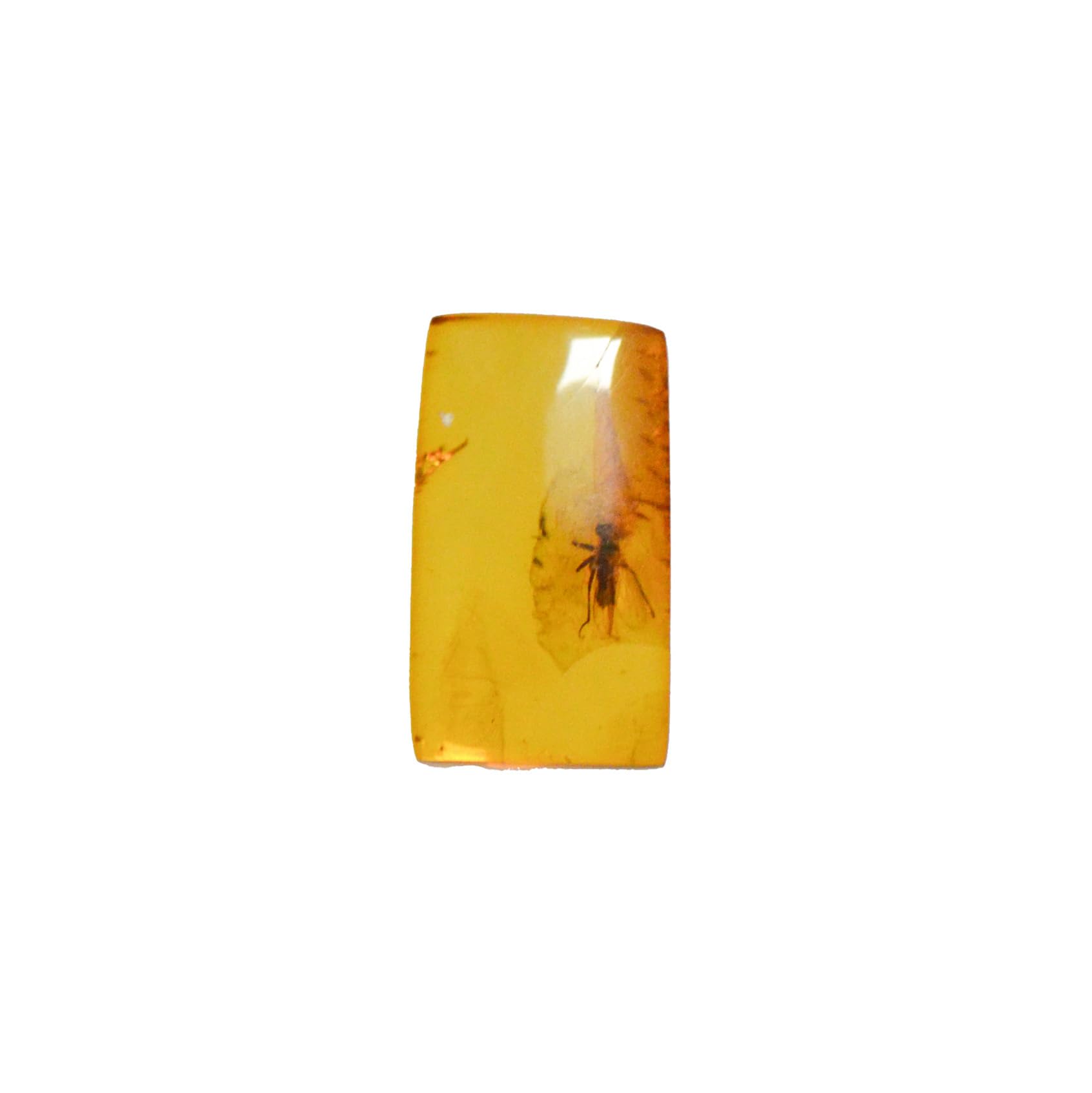 Baltic Amber fossil with Fly Insect - Natural stone 1.1g