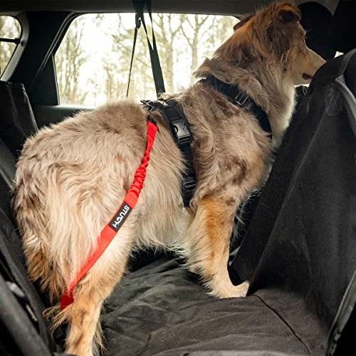 STUCH Universeller Bungee Sicherheitsgurt für Hunde & Katzen - Passend für alle Hunderassen & Autotypen (Farbe Rot) OneSize