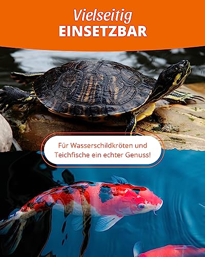petifool Koi Exquisit 1kg – getrocknete Futtermischung - für Wasserschildkröten und Fische – Mischung aus Seidenraupen, Shrimps und Gammarus - Naturfutter