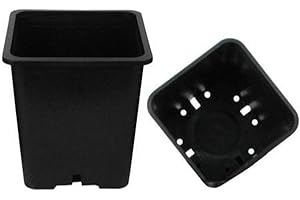 Gro Pro Premium 9" x 9" Square Planter Insert for Growing and Displaying Plants