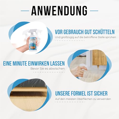 BUDDY'S Best 250ml Flohspray für Wohnung und Möbel - Flohmittel für Wohnung - Antiflohspray Wohnung - Umgebungsspray Flöhe für Flöhe Bekämpfen