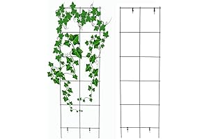 PVC Trellis for Climbing Plants Outdoors