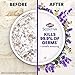 CX Company Clorox Scentiva Disinfecting Mopping Pad Tuscan Lavender & Jasmine-12 Wet Refills, 5.90 Inch x 2.25 Inch x 11.44 Inch, White