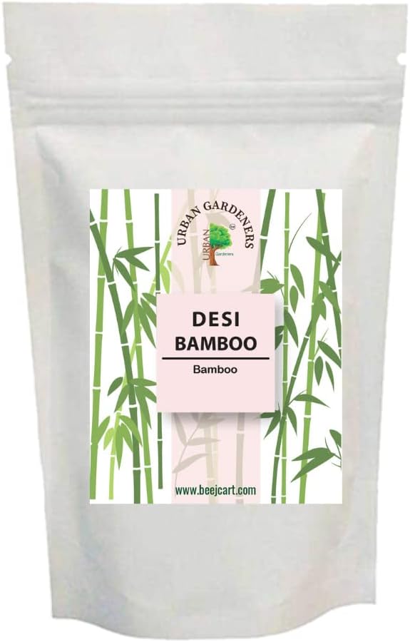 Urban Gardeners Bamboo seeds, Dendrocalamus strictus, Male Bamboo, Solid Bamboo, Calcutta Bamboo, Dendrocalamus seeds-100gms