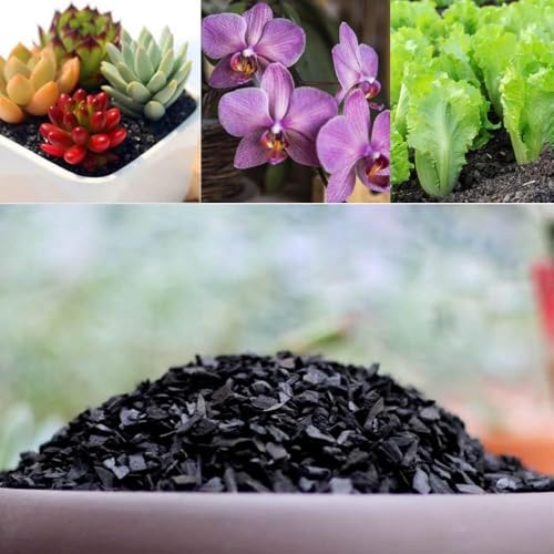 Horticultural Charcoal for Plants- All-Natural Hardwood Activated Charcoal for Soil Amendment Orchids, Terrariums, and Gardening (5ltr) - Image 3