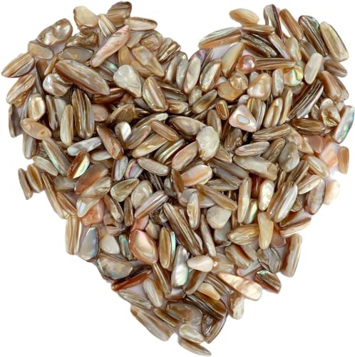 ideayard Crushed Shells for Crafts 1LB (460g/16oz) Natural Irregular Shaped Crushed Greay Seashells Chips Bulk for Crafts DIY Beaching Wedding Home Office Decorative