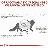 Royal Canin Gastrointestinal Feline | 3 sztuki w opakowaniu | 3 x 400 g | sucha karma dla kotów | może pomóc w przypadku chorób żołądkowo-jelitowych u kotów | wysoka akceptacja