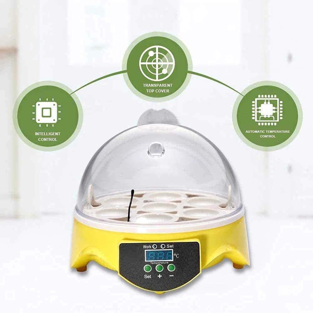 Mini Incubadora De Huevos, con Control Automático De Temperatura, Digital, para Aves De Corral, Patos, Pollos Y Palomas.