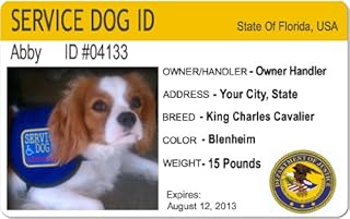 Custom Service Dog ID Tag