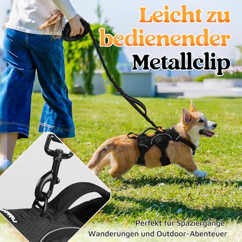 rabbitgoo Ausbruchsicheres Hundegeschirr Kleine Hunde mit Griff, Anti Zug Sicherheitsgeschirr Hund Atmungsaktiv, Verstellbare Brustgeschirr, Gepolstertem Hundeweste, Panikgeschirr, Schwarz S