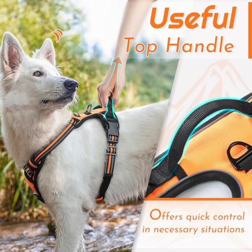 Image of Eagloo Dog Harness for Medium Sized Dogs, No Pull Vest with 2 Leash Clips