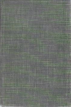 Socialism and American Life (Two Volume Set)