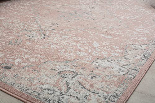 Rugs America Hailey Collection Vintage Transitional Area Rug - Ideal For Living Space, Living Room, Dining Room, Bedroom And Many More (5' X 7' Oval, Pink Amaranth) #TOP7