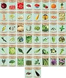 Set of 50 Premium Variety Herbs and Vegetables - Deluxe Garden Choices for Premium Gardening! (50 Variety Premium Garden Vegetable)