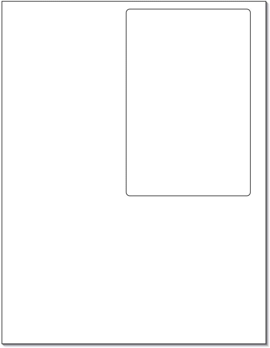 Étiquette intégrée pour impression simultanée facture et bon de livraison e-commerce 250 feuilles - 8