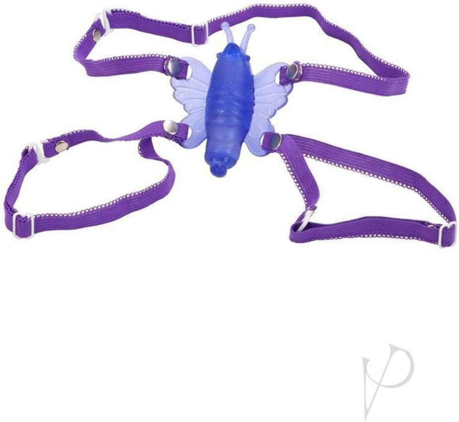MARIPOSA VENUS MORADO : CALEXOTICS: Amazon.es: Salud y ...