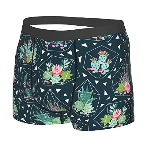 Caleçon 501 Plantes Succulentes Cover