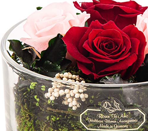 Rosen-Te-Amo, bouquet di fiori in vaso