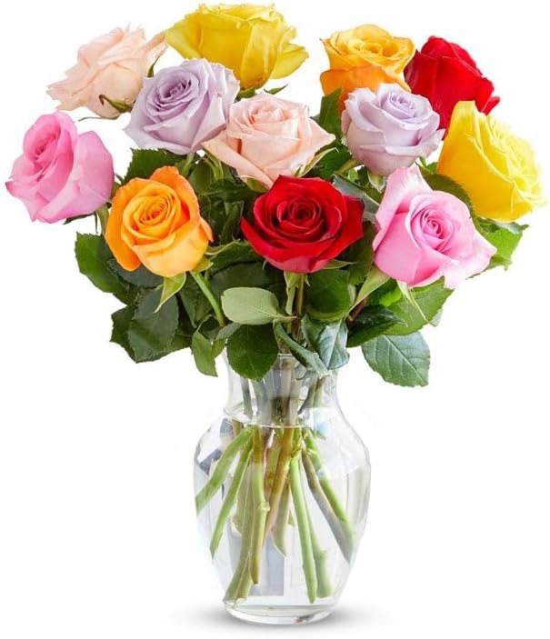 From You Flowers - One Dozen Rainbow Roses with Glass Vase | Fresh Flower Bouquets for Birthday, Anniversary, Get Well or Celebration