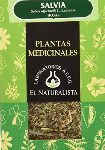 El Naturalista Salvia Planta - 45 Gr