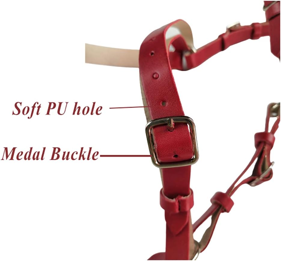 AISHFP Detachable Horse Bridle, Pu Protective Head Collar Training Match Horse Halter Control Direction Fashion Bridle Equestrian Supplies Horse Equipment Accessories,Black : Home & Kitchen