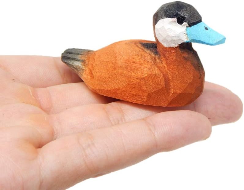 Ruddy Duck