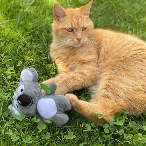 Aumüller Katzenspielzeug Koala Jack - Plüschtier zum Schmusen mit Baldrianfüllung