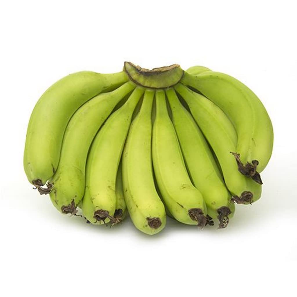 See full amazon price history chart for Creative Farmer Gardening Plants For Home Garden Rare Kerala Robusta Banana 1 Rhizome Cultivated Fruit (Healthy Live Plant) Creative Farmer Gardening Plants For Home Garden Rare Kerala Robusta Banana 1 Rhizome Cultivated Fruit (Healthy Live Plant) (B09L57WM8H) Amazon Price History, Amazon Price Tracker