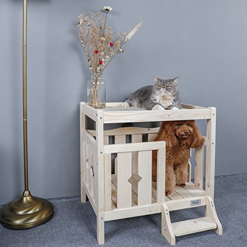 The 6 Best Dog Bunk Beds of 2022