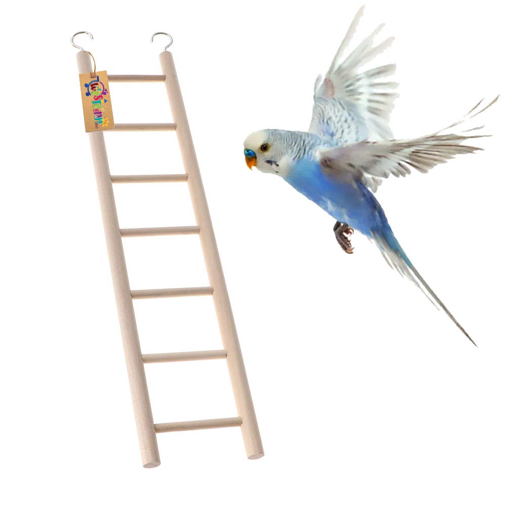 See full amazon price history chart for Western Era 7 Stairs Fun Natural Wooden Ladder Toy for Training, with Hooks, Designed for Birds, Parrot, Budgies and Other Small, Medium Large Bird (34cm) Western Era 7 Stairs Fun Natural Wooden Ladder Toy for Training, with Hooks, Designed for Birds, Parrot, Budgies and Other Small, Medium Large Bird (34cm) (B08KZQL25F) Amazon Price History, Amazon Price Tracker
