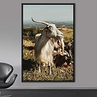 Framed Canvas Wall Art Goat Animals Expressive Farmhouse/Country Goat Living Room Multicolor Photography - 16x24 inches
