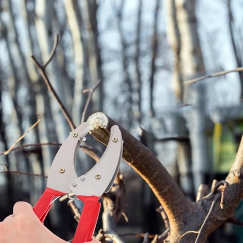 Herramienta ajustable para poda de árboles frutales miniatura 2