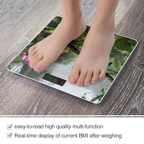 Báscula Digital de Baño Precisa y Estable con Pantalla LCD miniatura 5