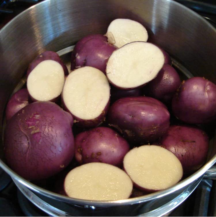 Arran Victory Seed Potatoes Main Crop- Organic Variety Seed Potatoes,X20 Tubers for Planting.High Yield Variety